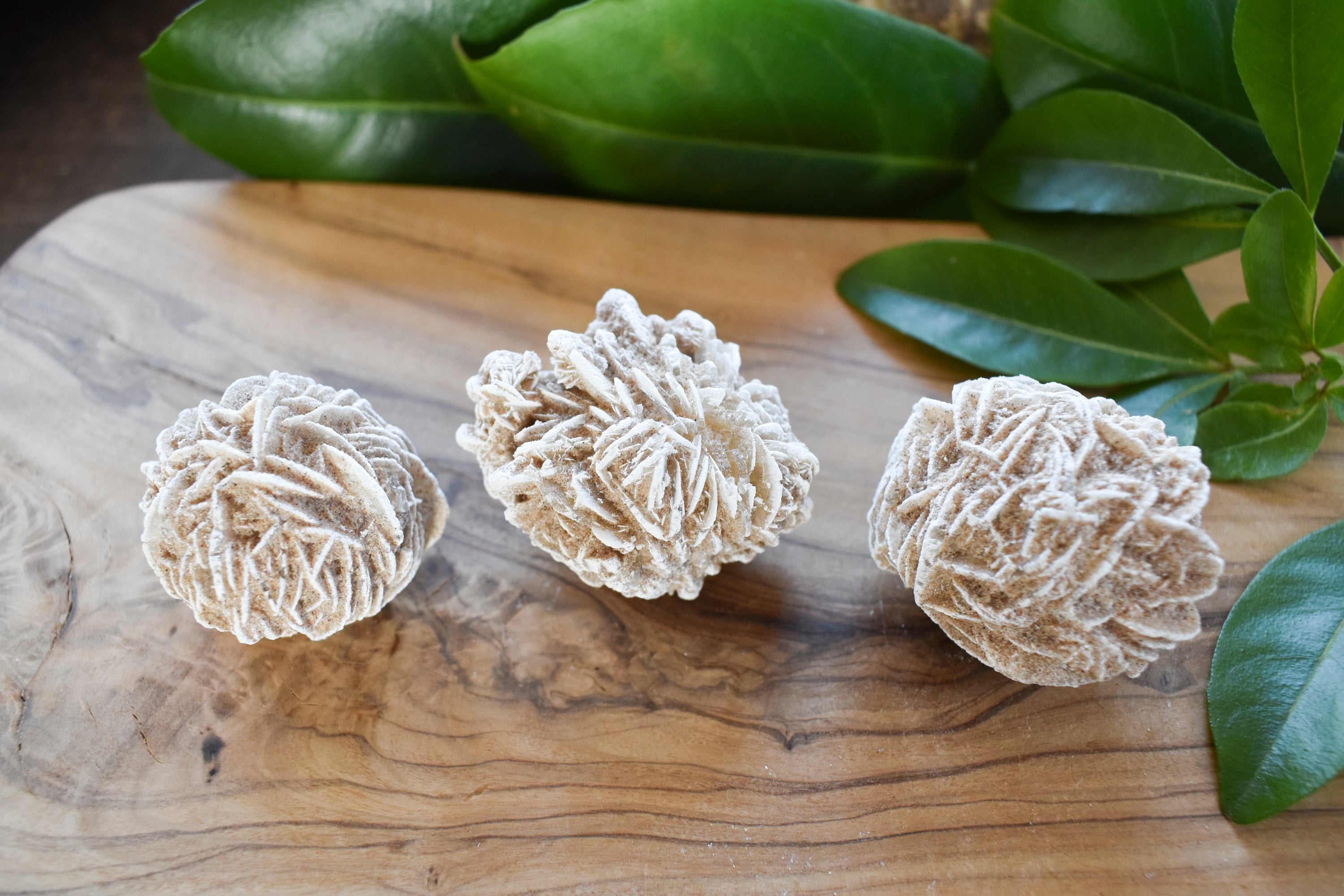 Desert Rose Crystal, Raw Desert Rose – Moor Crystals