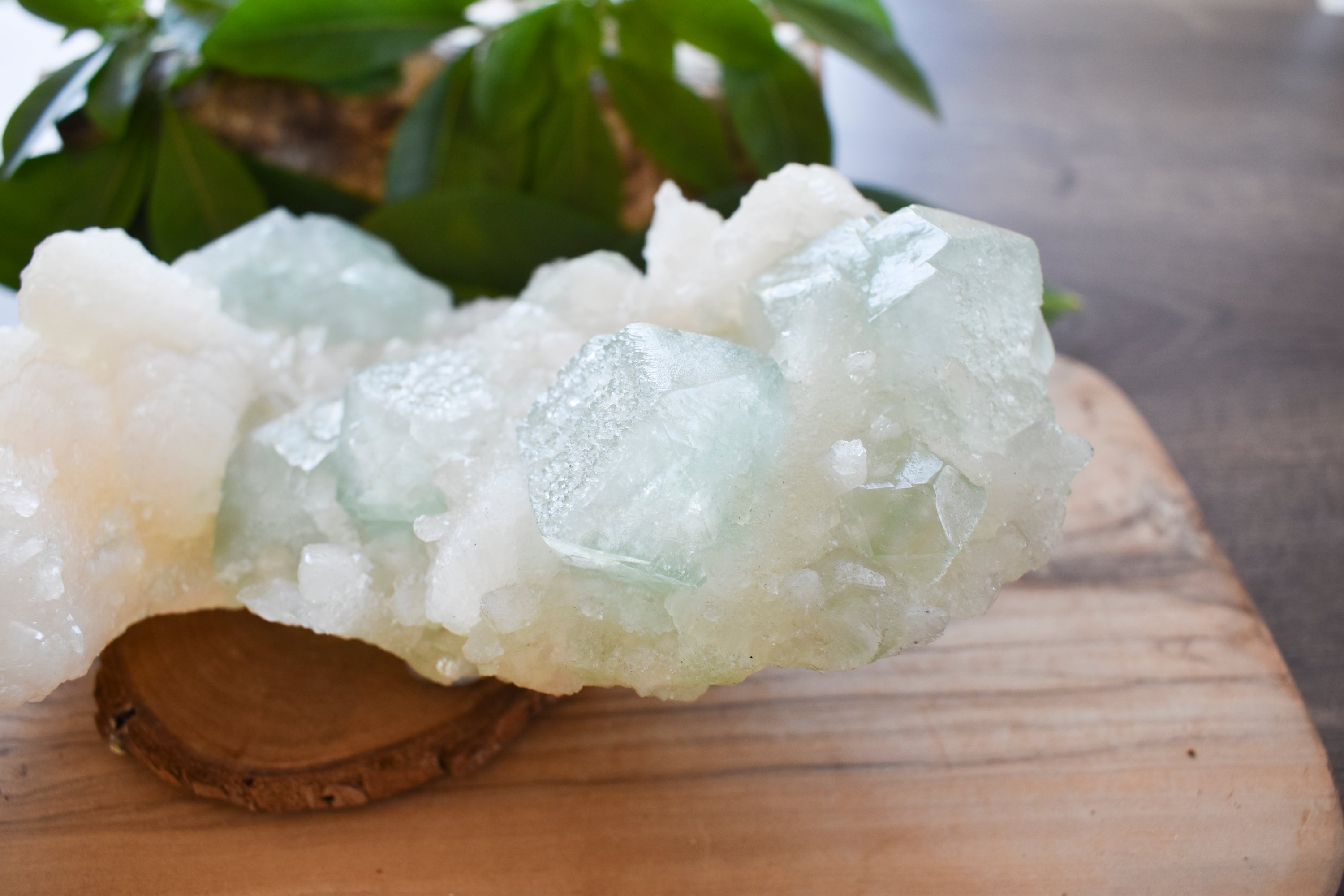 Moor Crystals Devon Healing Crystals Crystal Jewellery Shop