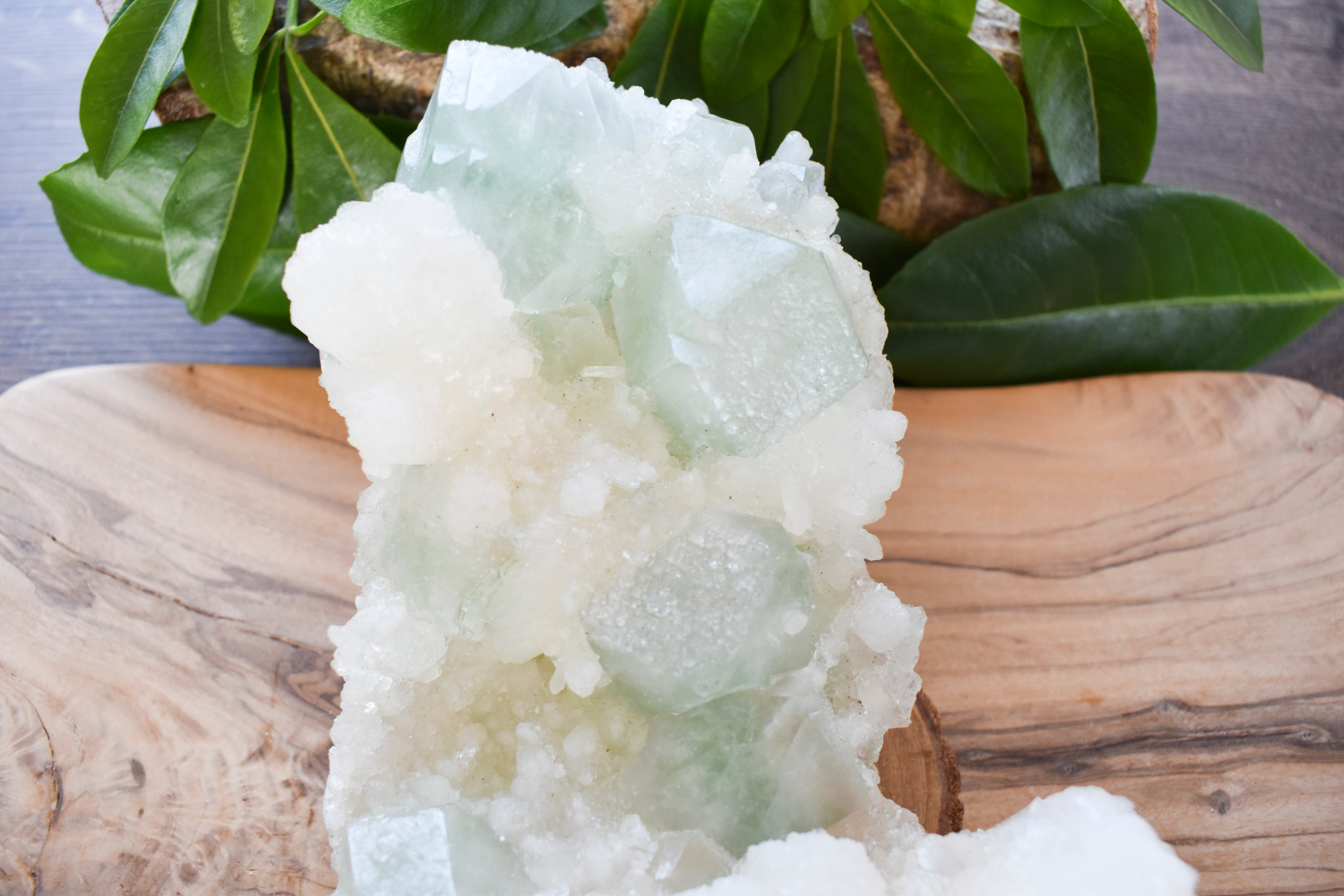 Moor Crystals Devon Healing Crystals Crystal Jewellery Shop