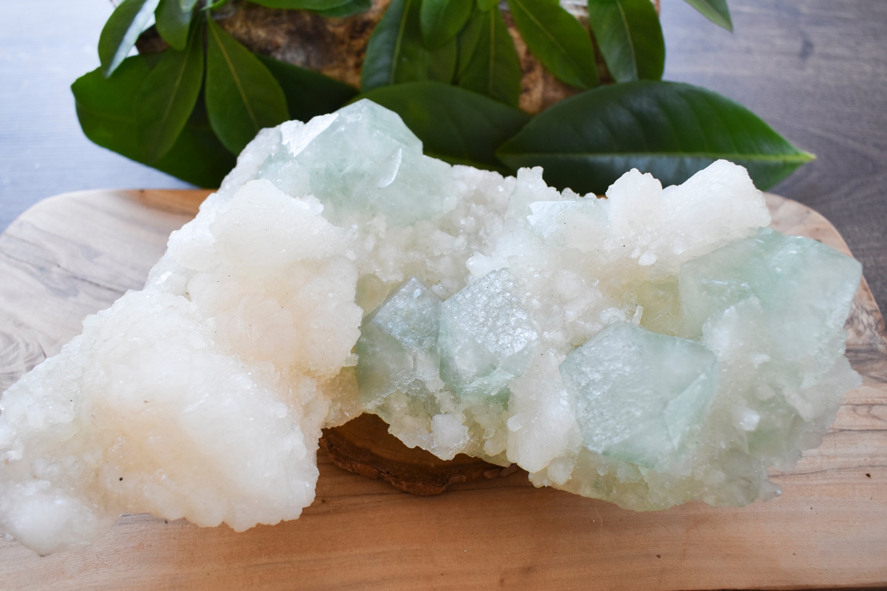 Moor Crystals Devon Healing Crystals Crystal Jewellery Shop